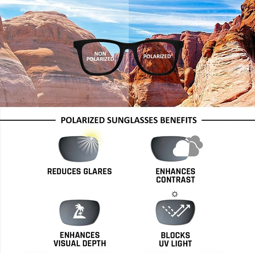 Wayfarer Polarized